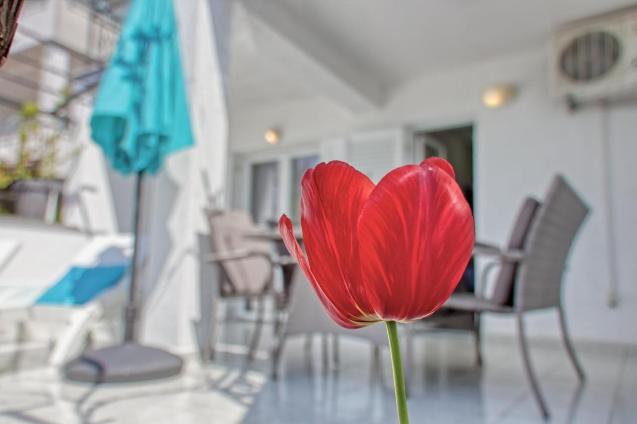 Apartments Birimac Pula Ngoại thất bức ảnh